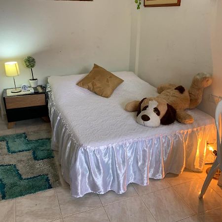 Apartamentos Y Estudios Manga Real Cartagena エクステリア 写真